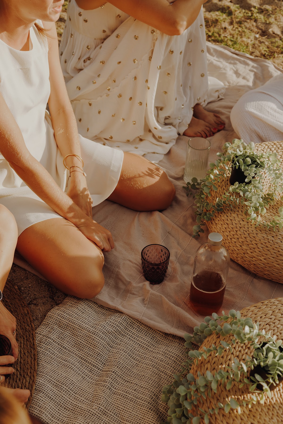 Sofish'eye - photo 3